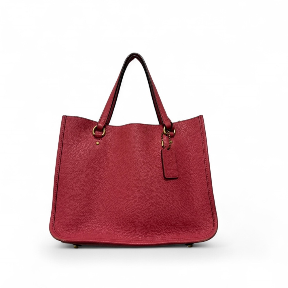 Coach Tyler Carryall